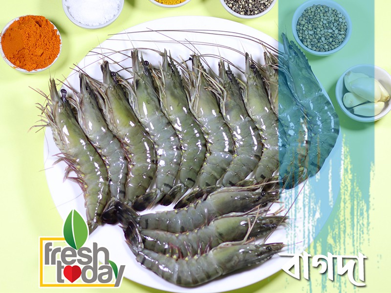 Fresh Today - Chemical free fish, seafood, chicken and meat. Fresh ...