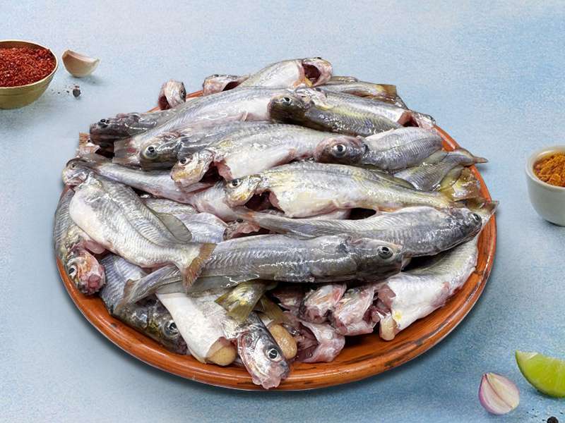 Fresh Today - Chemical free fish, seafood, chicken and meat. Fresh ...